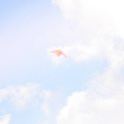 皇室战争一加版下载